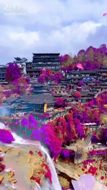 一天三餐每餐只吃一个水煮蛋能减肥吗?为什么?-知识星球平台,与你分享无限知识宝藏