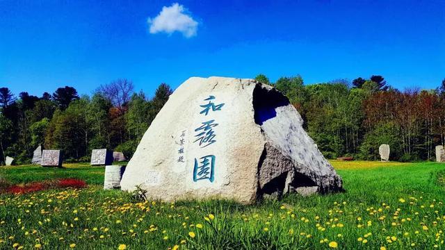88影视
